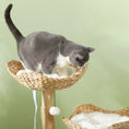 Bild in Galerie-Betrachter laden, Close-up of a gray-and-white cat standing on the cream cushion in the upper woven basket of the PawHut Woven Nest Cat Tree.
