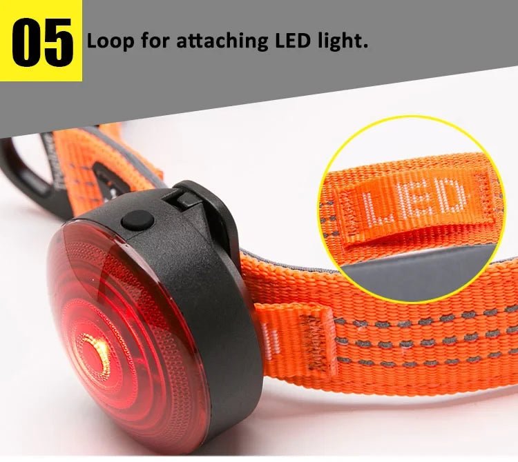 TrueLove Reflective Padded Dog Collar TLC5271