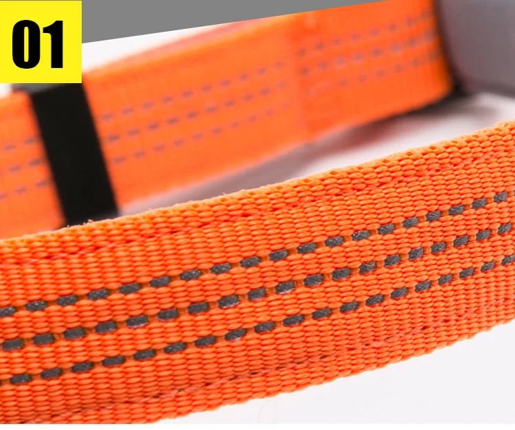TrueLove Reflective Padded Dog Collar TLC5271