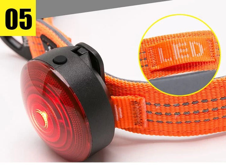 TrueLove Reflective Padded Dog Collar TLC5271