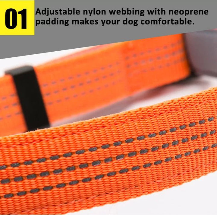 TrueLove Reflective Padded Dog Collar TLC5271