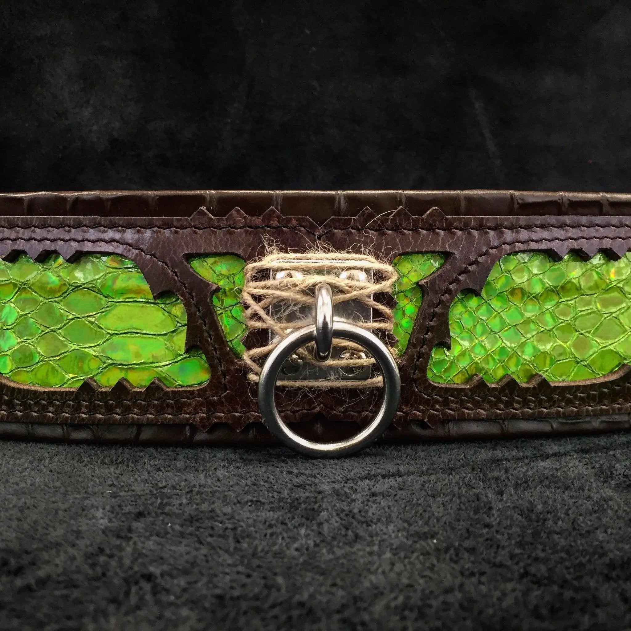 The ''Venom'' collar - Pet Collars & Harnesses from Bestia Dog Gear