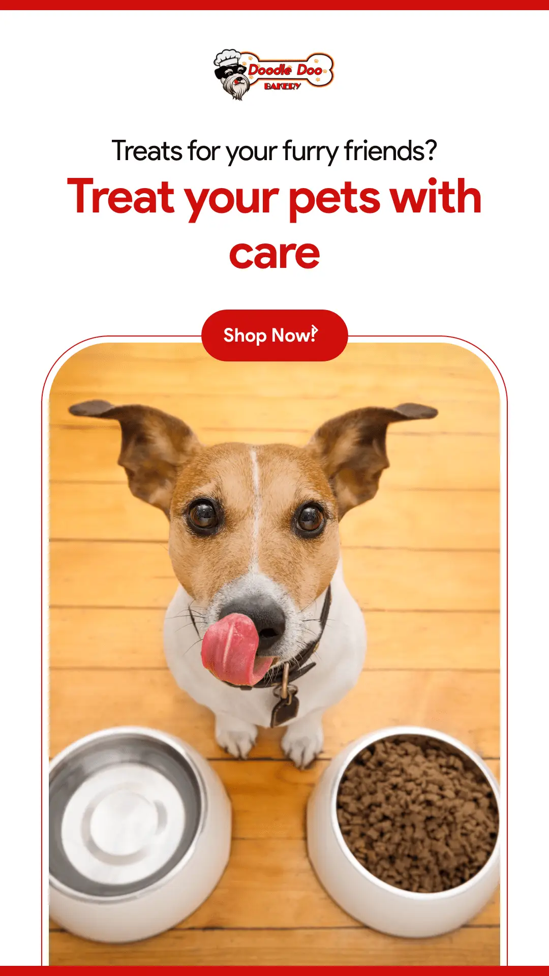 Homemade Dog Treat Party Bag – 1 lb Variety Mix