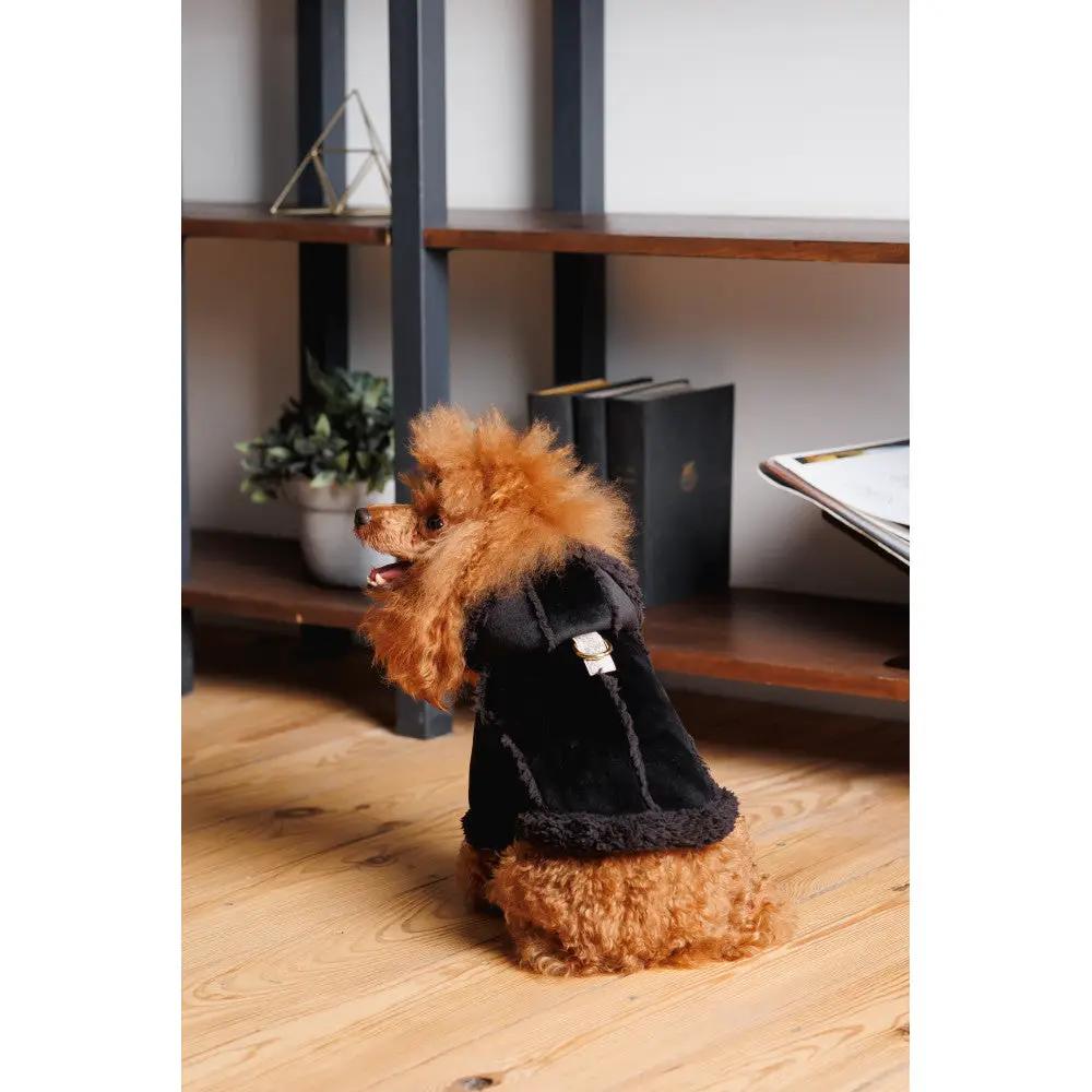 Sheepskin dog coat, black with fluffy hood, pet apparel.