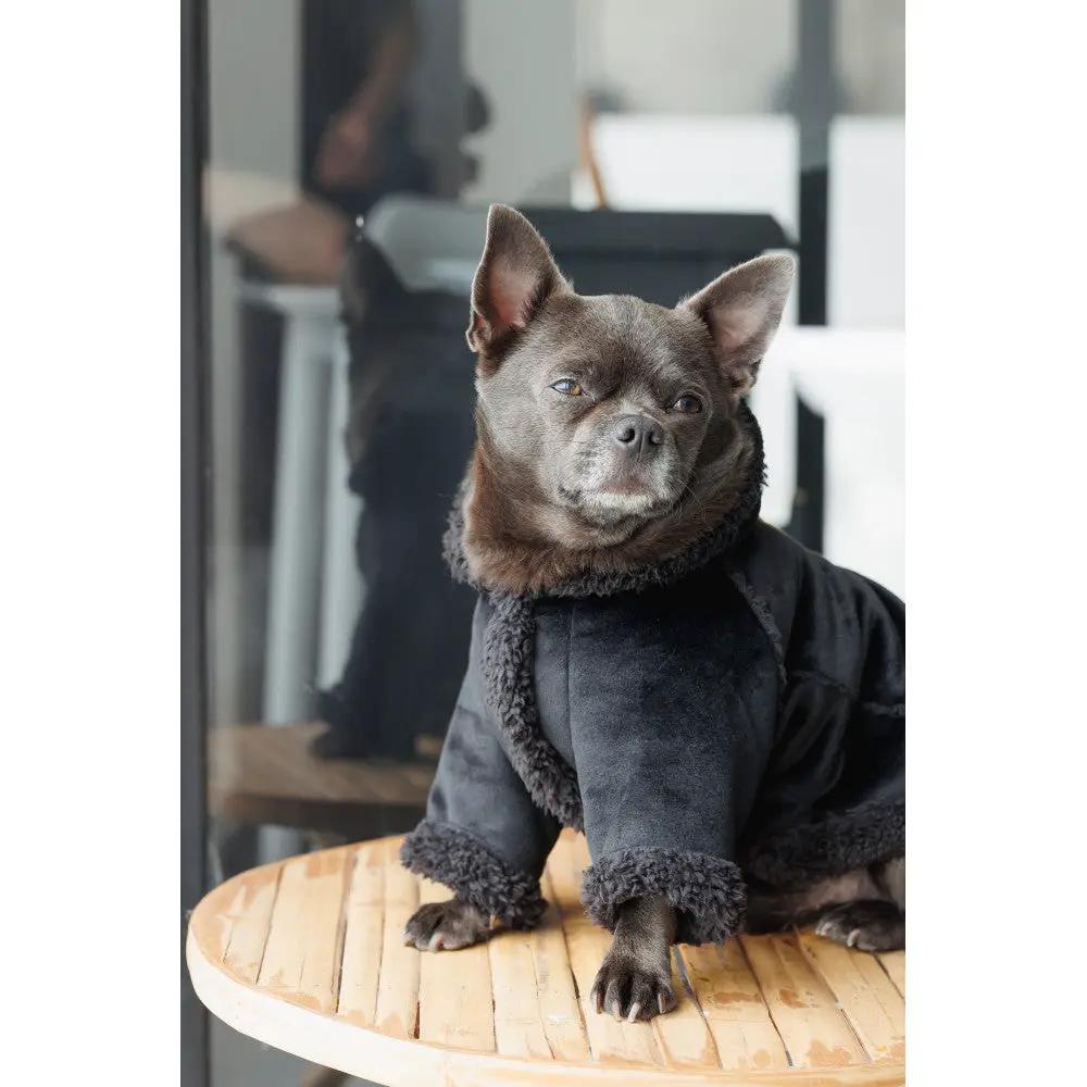 Sheepskin dog coat in dark charcoal with plush shearling trim
