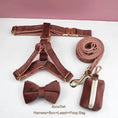 Carica l'immagine nel visualizzatore della galleria, Dusty Pink Velvet Dog Harness And Leash Set Custom Engraved No Pull by DDPaws
