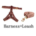 Carica l'immagine nel visualizzatore della galleria, Dusty Pink Velvet Dog Harness And Leash Set Custom Engraved No Pull by DDPaws
