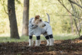 Load image into Gallery viewer, Spring Dog Rainproof Jacket, light gray hooded raincoat for dogs
