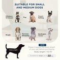 Load image into Gallery viewer, PawHut Elevated Pet Sofa Bed for Small and Medium Dogs by HouseOfZazla
