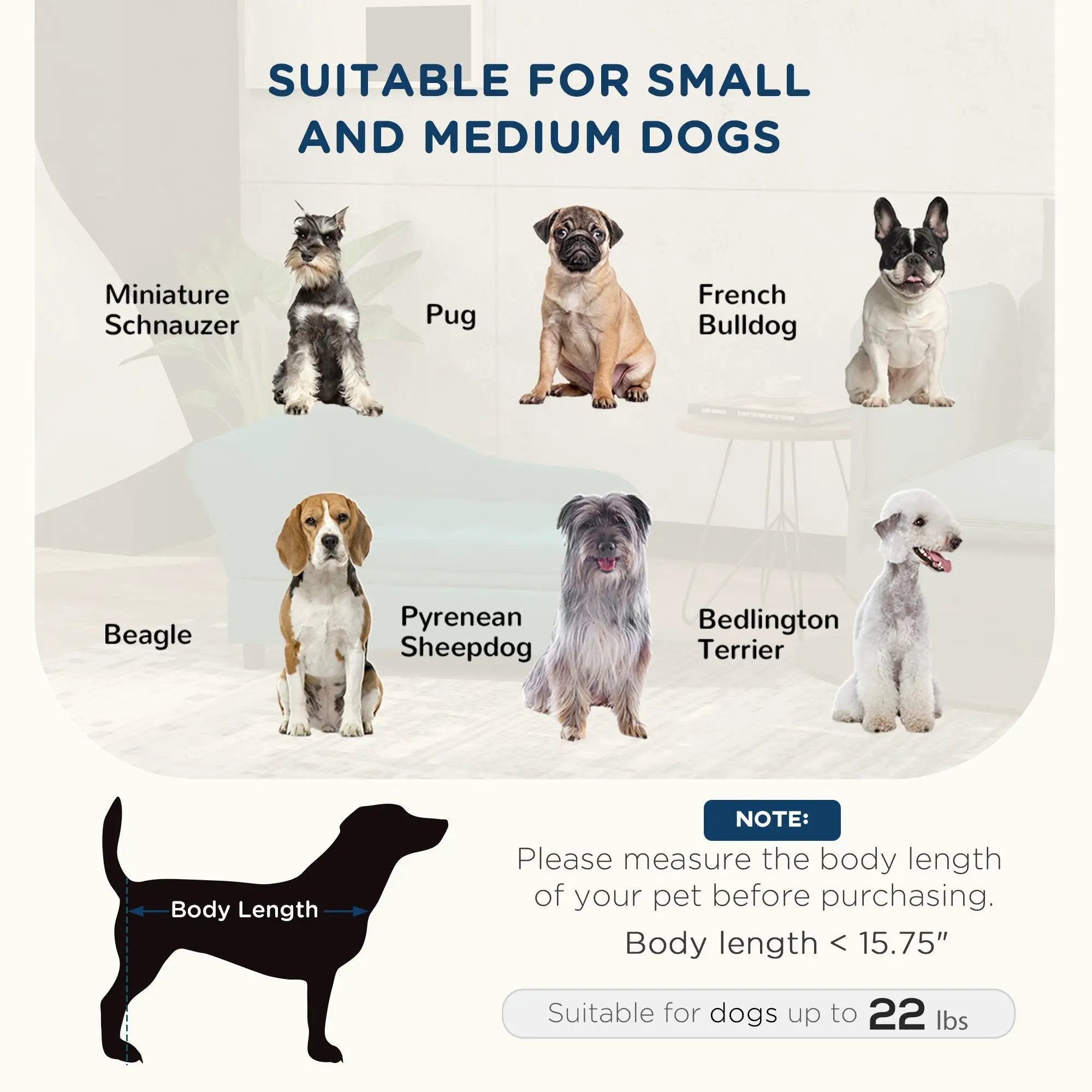 PawHut Elevated Pet Sofa Bed for Small and Medium Dogs by HouseOfZazla