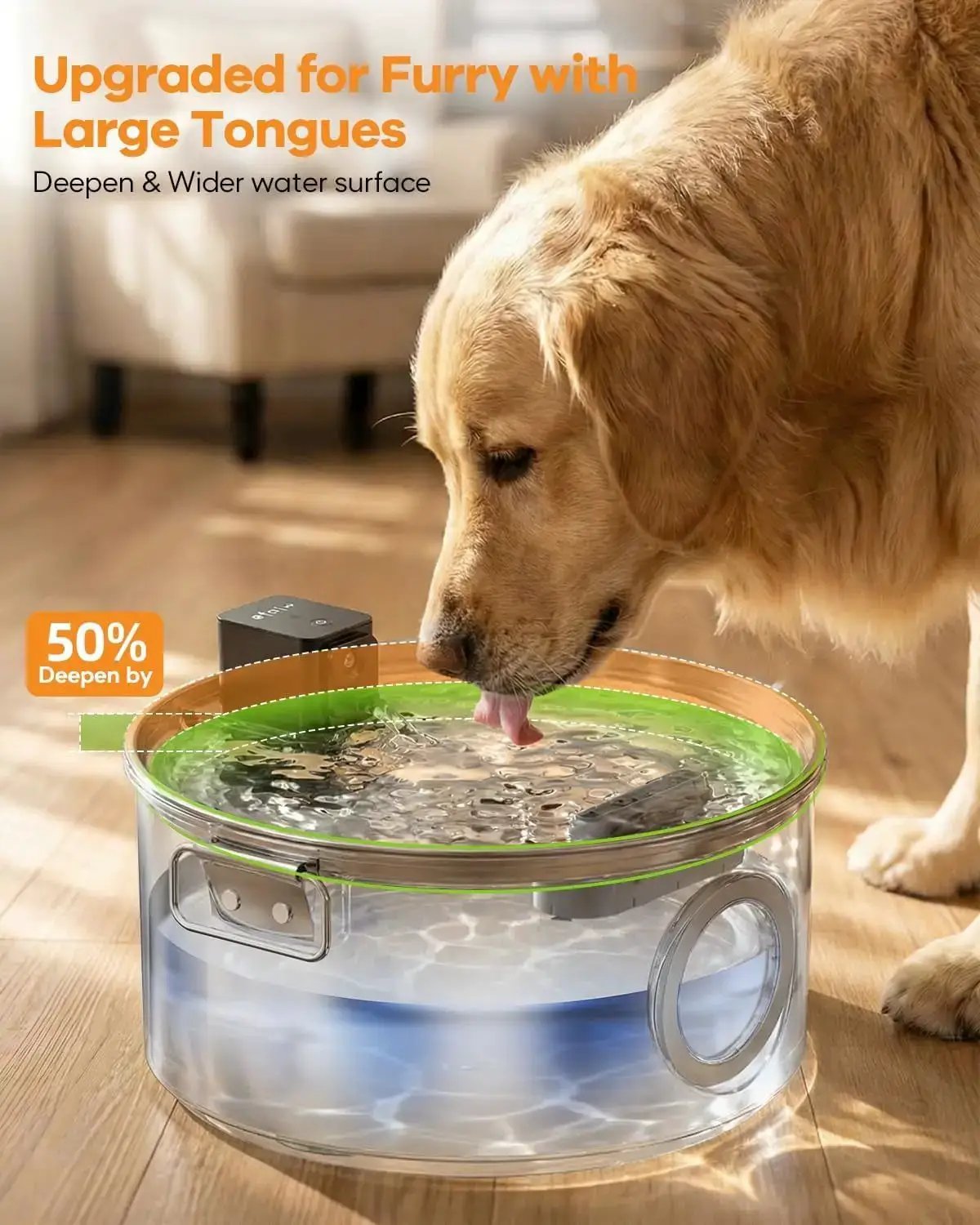 The Oasis 3.4-Gallon Wireless Pet Fountain for cats & dogs; clear acrylic basin with a green rim, dog drinking from it.