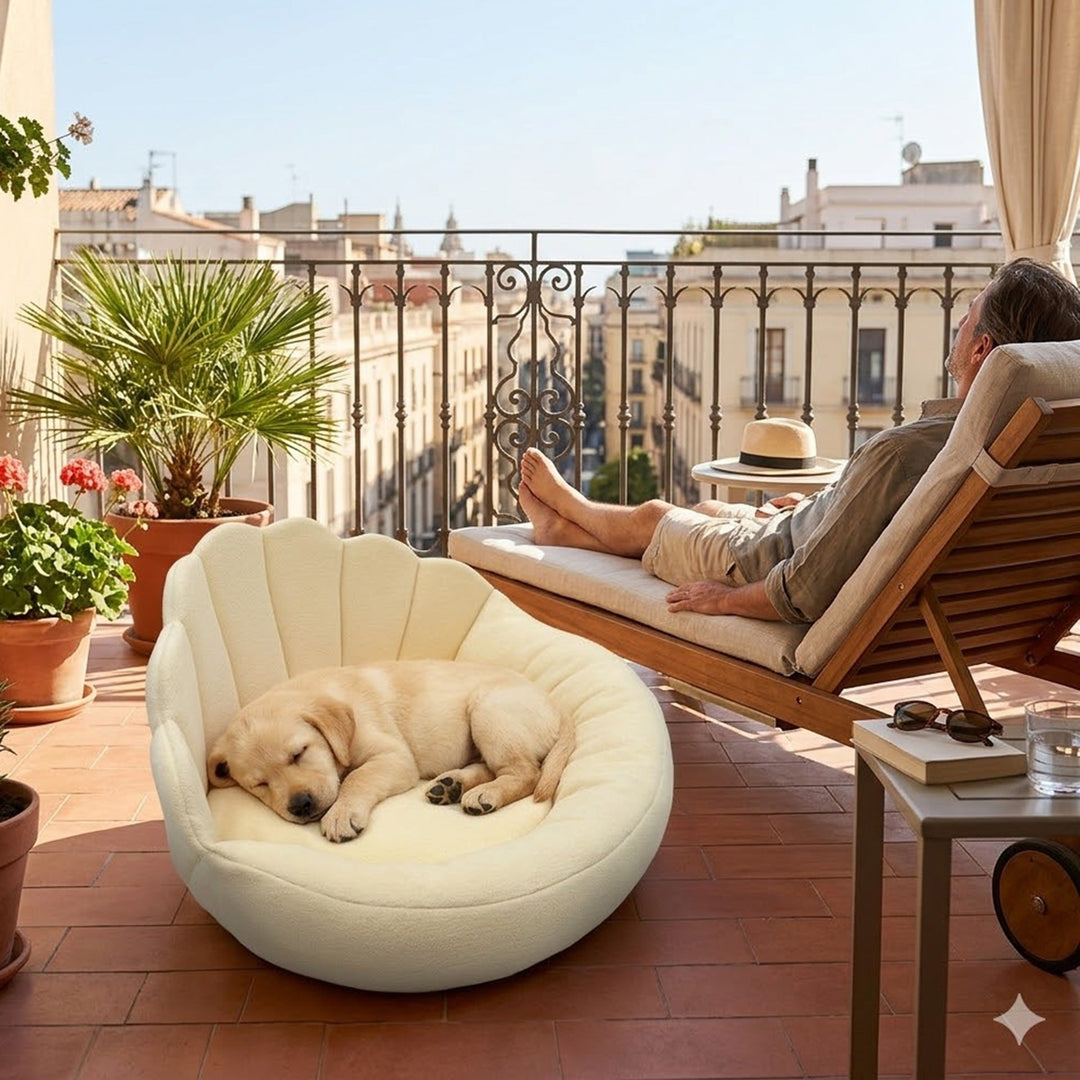 Dog resting in scalloped beige pet sofa on balcony