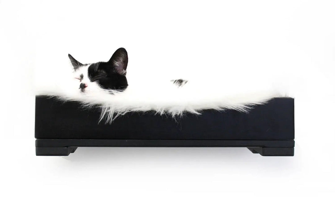 The Cat Nest Bed, black wooden cat bed with white faux fur lining by Catastrophic Creations