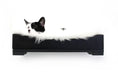 Load image into Gallery viewer, The Cat Nest Bed, black wooden cat bed with white faux fur lining by Catastrophic Creations
