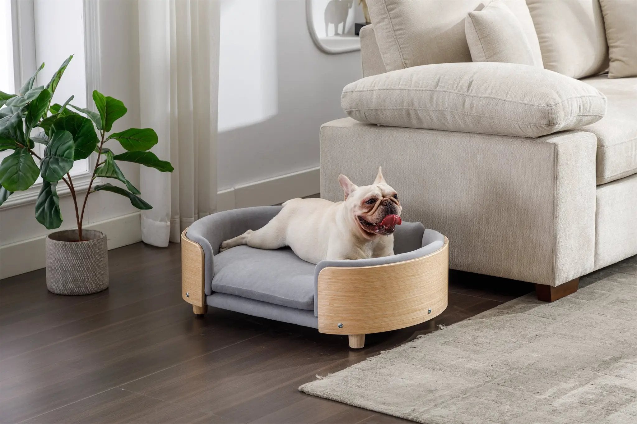 Scandinavian Style Elevated Dog Bed Pet Sofa Velvet Cushion Mid Size Light Grey by HouseOfZazla