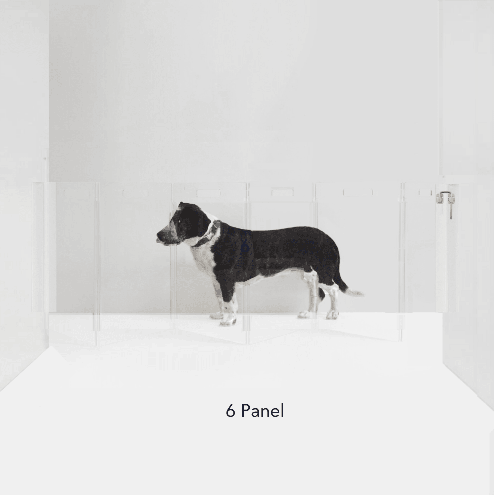 Hiddin Clear Acrylic Wall-Mounted Zig Zag Pet Gate – 24 in High