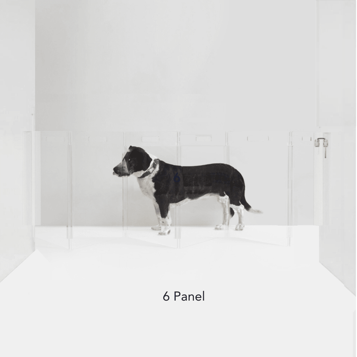 Hiddin Clear Acrylic Wall-Mounted Zig Zag Pet Gate – 24 in High