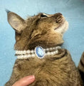 Load image into Gallery viewer, FelineStyle Cat Pearl Necklace Pet Collar Lightweight Durable Plastic Fashion Accessory For Feline Companions Stylish by Pet Zen
