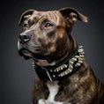 Load image into Gallery viewer, The ''Platinum'' collar - Pet Collars & Harnesses from Bestia Dog Gear
