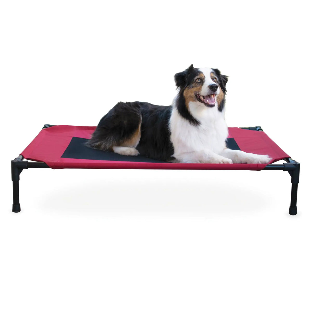 K&H Elevated Dog Bed on pink cot with black frame; a happy tri-color dog lounges.
