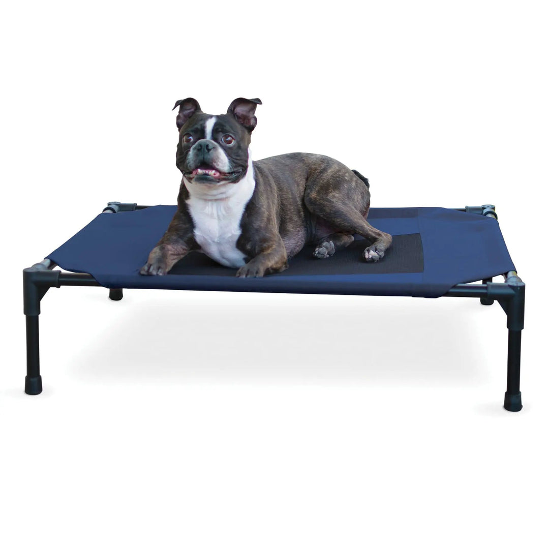 K&amp;H elevated dog bed with blue fabric frame, dog lounging on it.