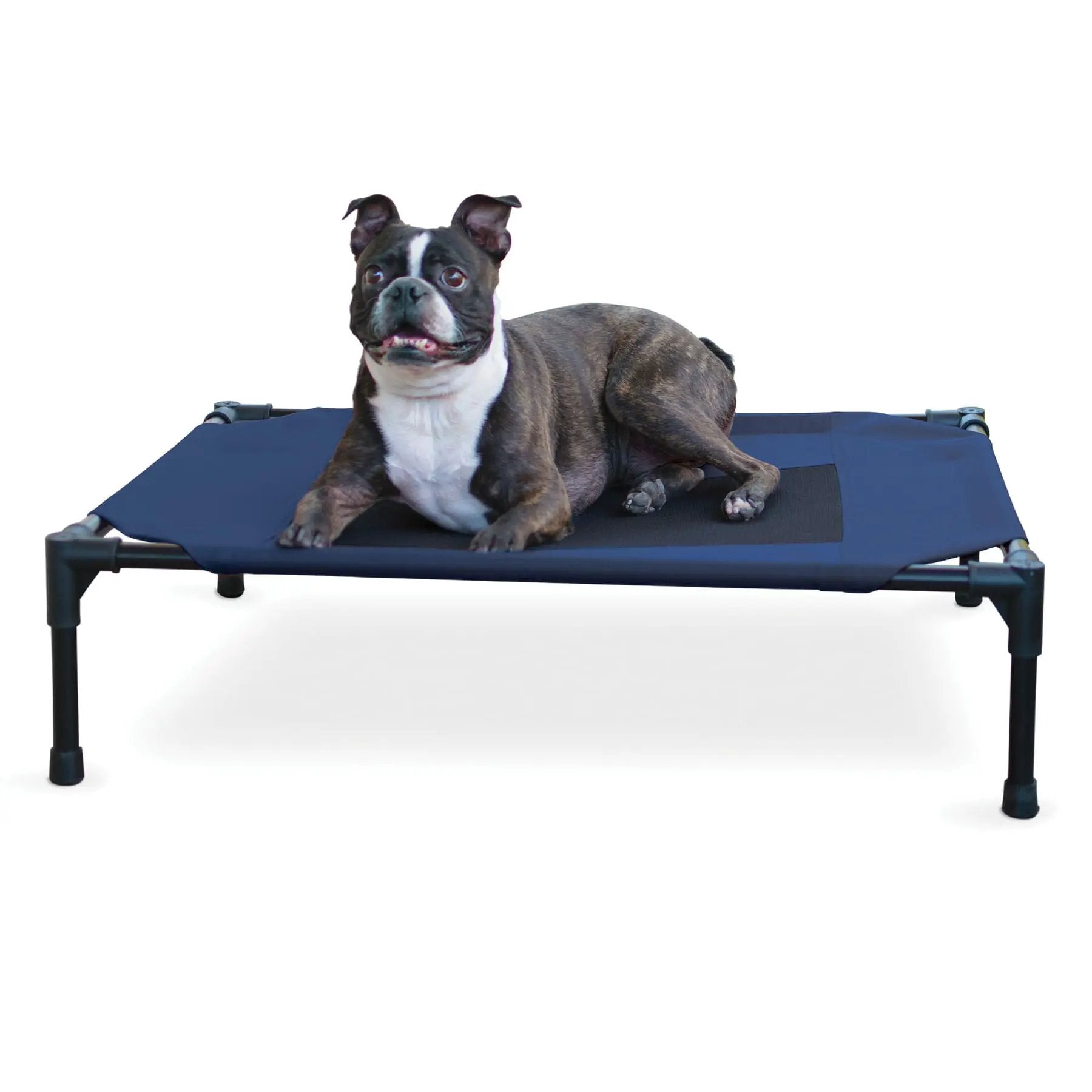 K&H elevated dog bed with blue fabric frame, dog lounging on it.
