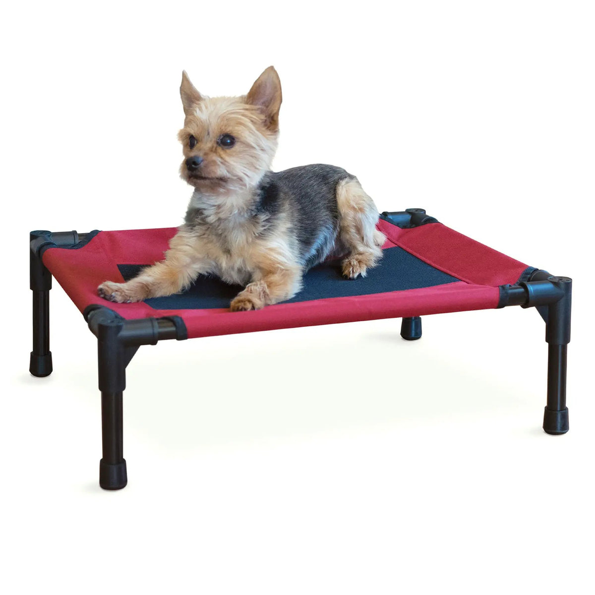 K&H Elevated Dog Bed with red fabric on a black frame