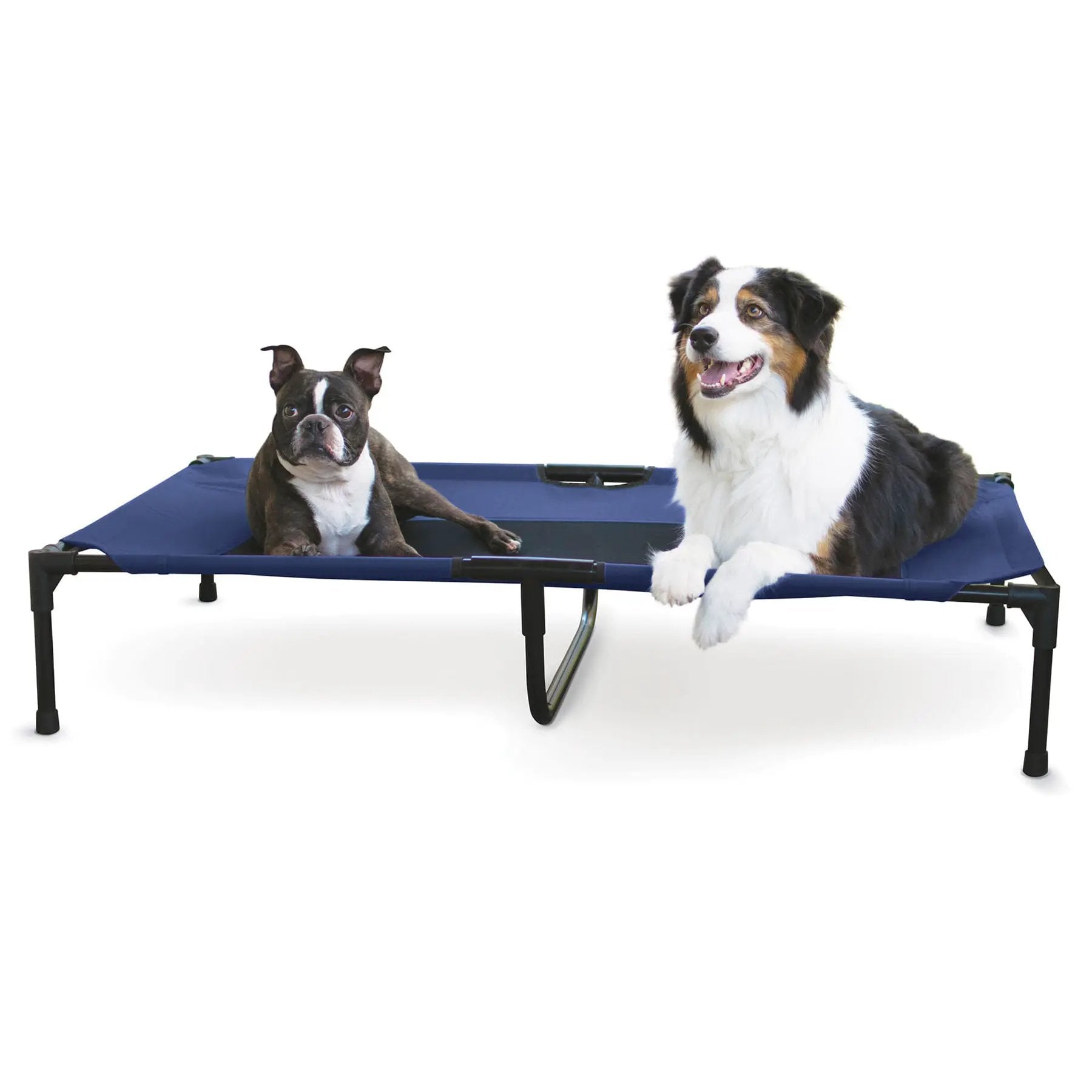 K&H Elevated Dog Bed by Jeffers, blue fabric with metal frame; two dogs on bed