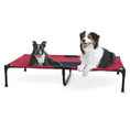 Load image into Gallery viewer, K&H Elevated Dog Bed with red fabric and two dogs lounging on it
