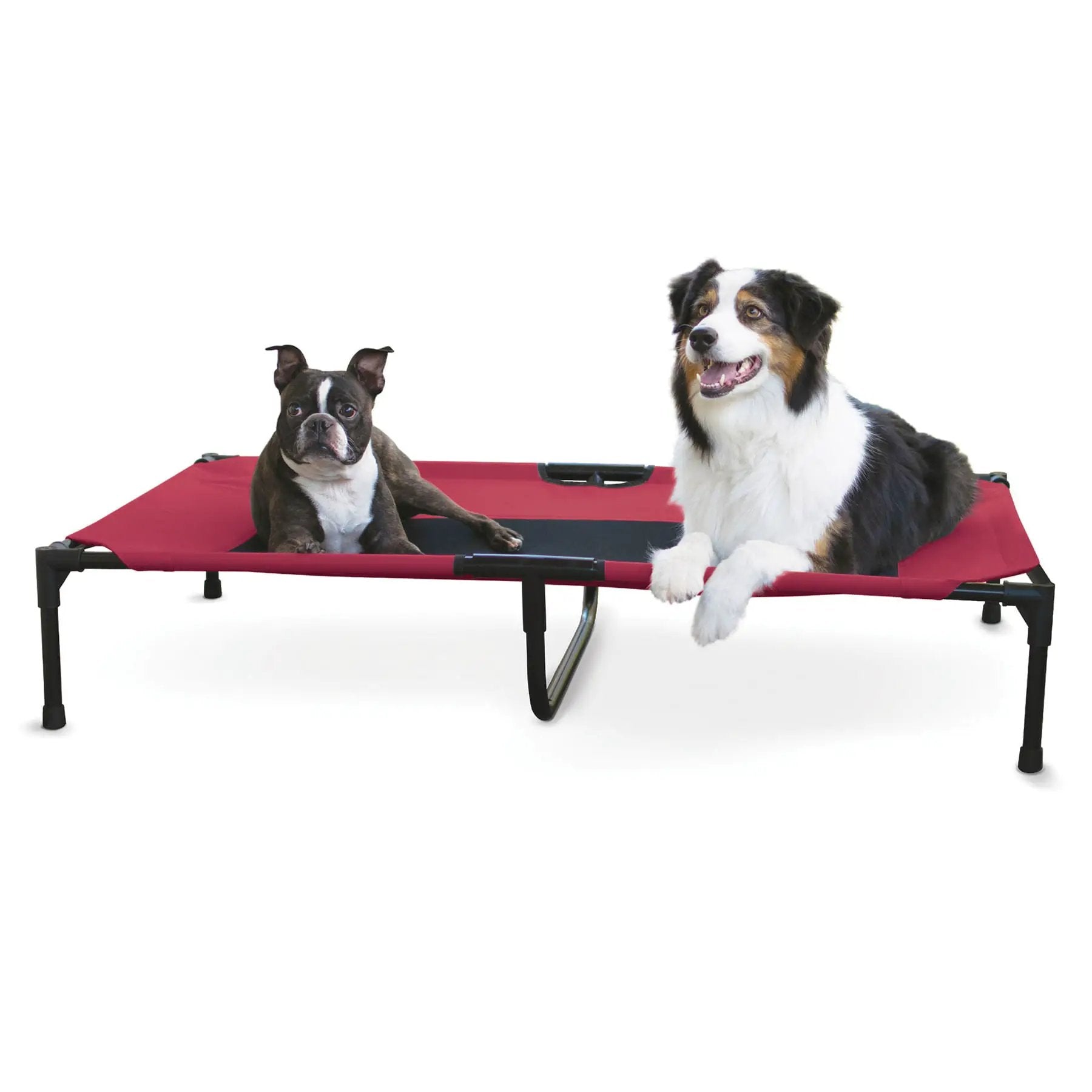 K&H Elevated Dog Bed with red fabric and two dogs lounging on it