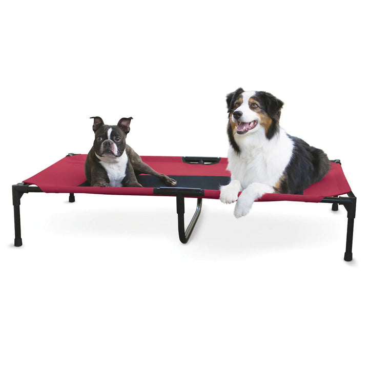K&amp;H Elevated Dog Bed with red fabric and two dogs lounging on it