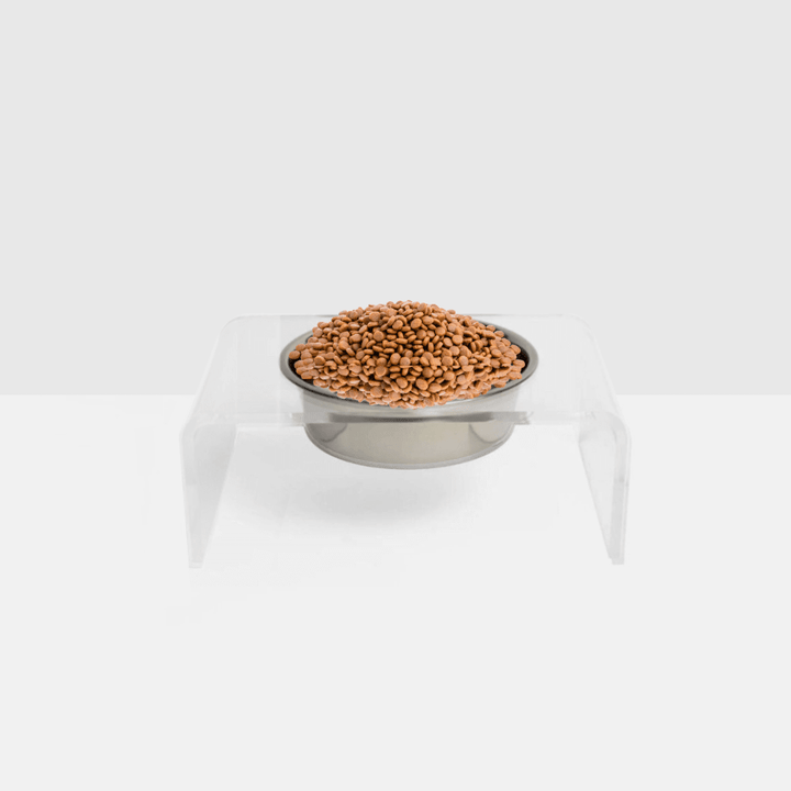 Hiddin Clear Acrylic Single Feeder with Silver Bowl – 5 in High