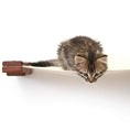 Load image into Gallery viewer, Hanging Cat Bed Hammock by Catastrophic Creations; brown wooden brackets support a white fabric hammock
