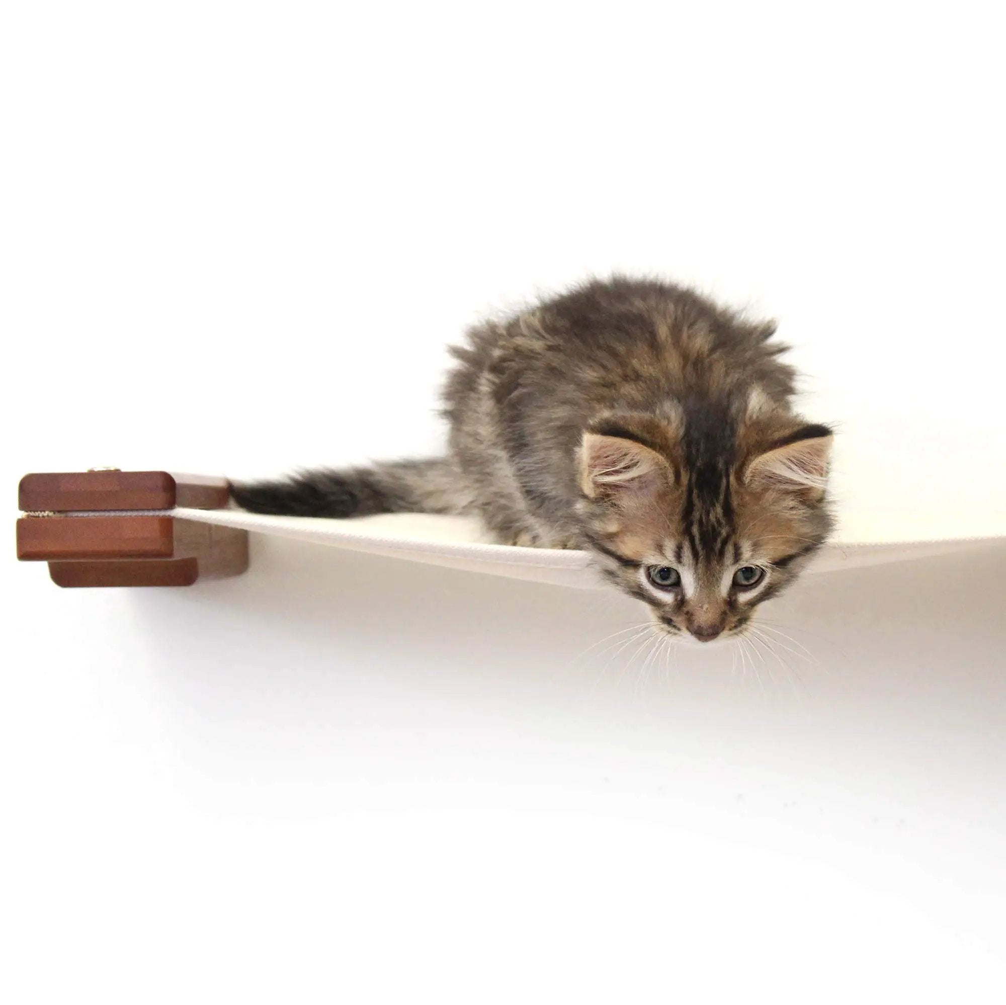 Hanging Cat Bed Hammock by Catastrophic Creations; brown wooden brackets support a white fabric hammock
