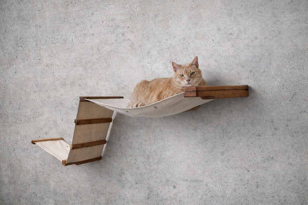 The Raceway wall-mounted cat hammock by Catastrophic Creations, beige fabric with wooden supports.