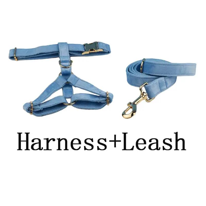 Luxury Blue Velvet Custom Dog Harness Set No Pull Sleek Hardware by DDPaws