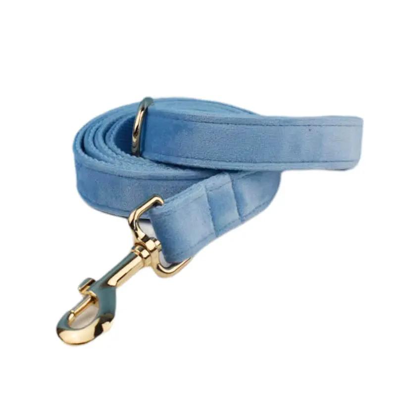Luxury Blue Velvet Custom Dog Harness Set No Pull Sleek Hardware by DDPaws