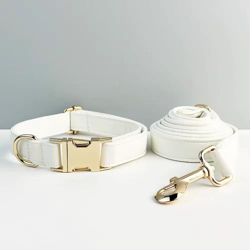 Classic Elegance White Premium Leather Dog Walking Collar Leash Set by DDPaws