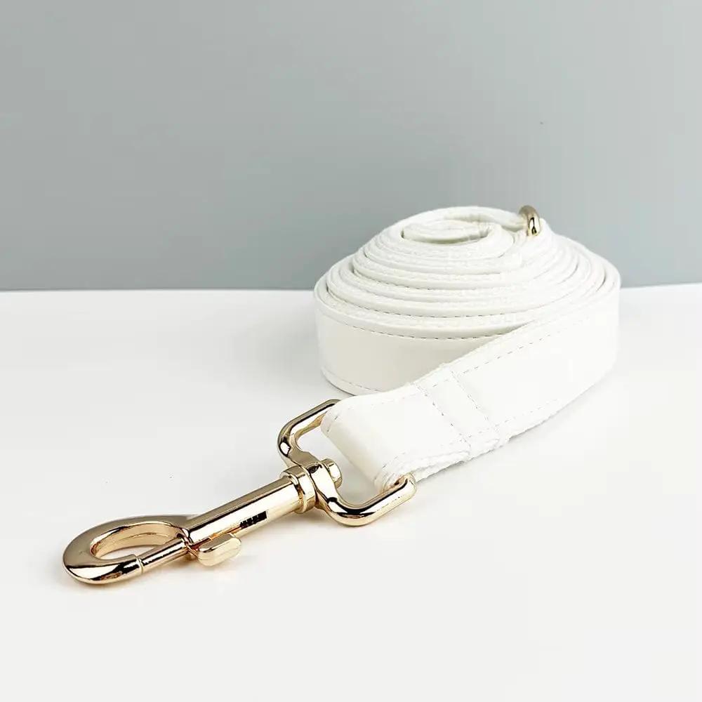 Classic Elegance White Premium Leather Dog Walking Collar Leash Set by DDPaws