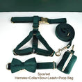 Load image into Gallery viewer, PawLuxe Green Velvet Set Custom No Pull Harness Medium And Large by DDPaws

