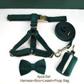 Load image into Gallery viewer, PawLuxe Green Velvet Set Custom No Pull Harness Medium And Large by DDPaws
