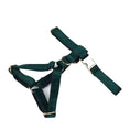 Load image into Gallery viewer, PawLuxe Green Velvet Set Custom No Pull Harness Medium And Large by DDPaws
