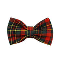 Gallery viewerに画像を読み込む, Red Tartan Christmas No Pull Dog Harness Set With Leash Personalized by DDPaws
