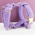 Load image into Gallery viewer, Teddy Purple Personalized No Pull Dog Harness Set With Matching Leash by DDPaws
