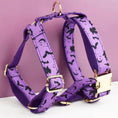 Load image into Gallery viewer, Luxe Pet Gear Halloween Classic Violet Print No Pull Harness With Matching Collar Leash And Bow Tie Set by DDPaws
