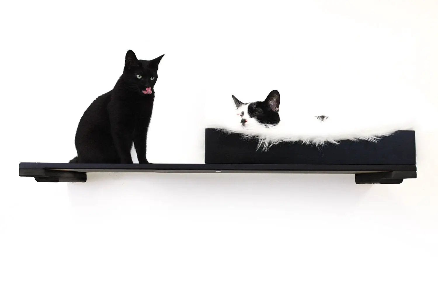 The Cat Nest Bed on a black wall-mounted cat shelf; two cats lounge, one black and one tuxedo.