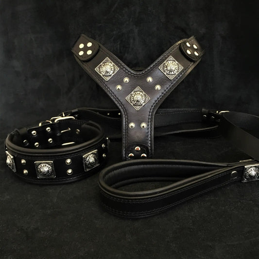 "EROS" BIG dog SET- Harness - collar - lead. All Black - Pet Collars & Harnesses from Bestia Dog Gear