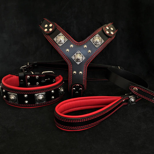"EROS" BIG dog SET- Harness - collar - lead. Black & Red - Pet Collars & Harnesses from Bestia Dog Gear
