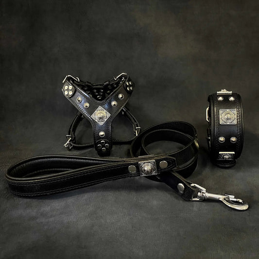 Eros All Black Hand Made Leather Dog Harness Collar Leash Set Small Medium Dogs With Heavy Duty Hardware by Bestia Dog Gear