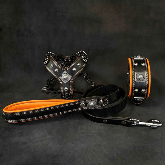 "EROS" Small to Medium dog SET - Harness - collar - lead Black&Orange - Pet Collars & Harnesses from Bestia Dog Gear